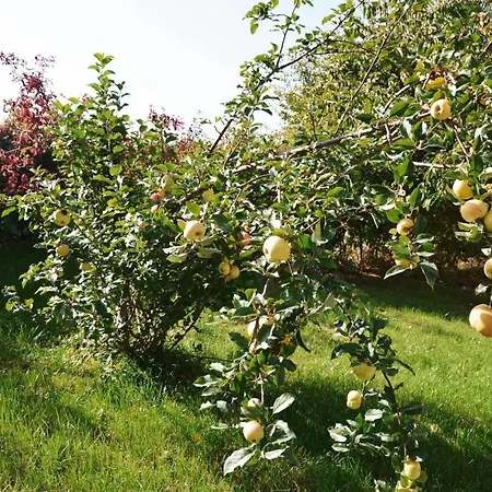 Am Nationalpark Eifel Dom wakacyjny