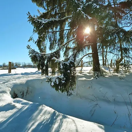 Hébergement de vacances Am Nationalpark Eifel Dreiborn