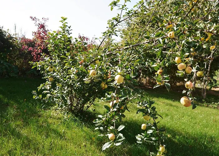 Am Nationalpark Eifel Hébergement de vacances