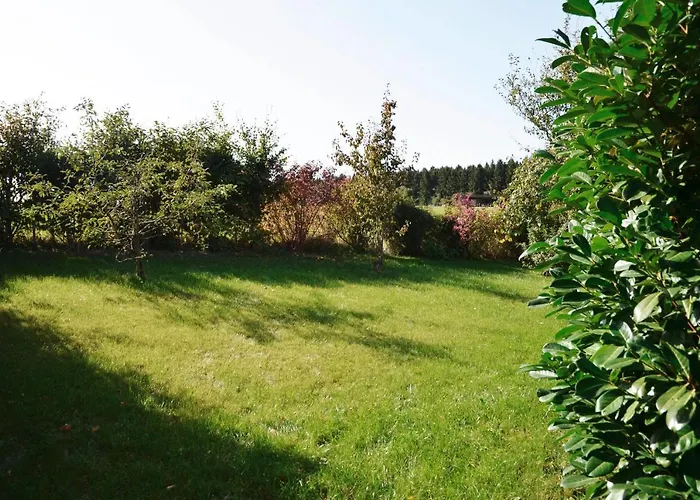 Am Nationalpark Eifel