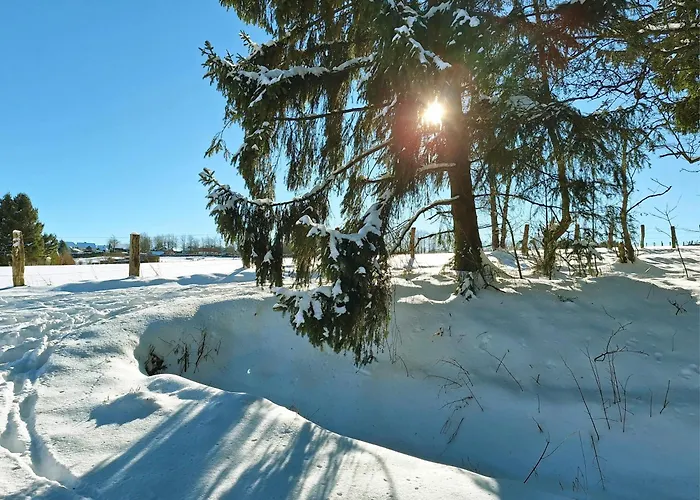 Vakantiehuis Am Nationalpark Eifel Dreiborn